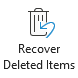 deleted items recovery